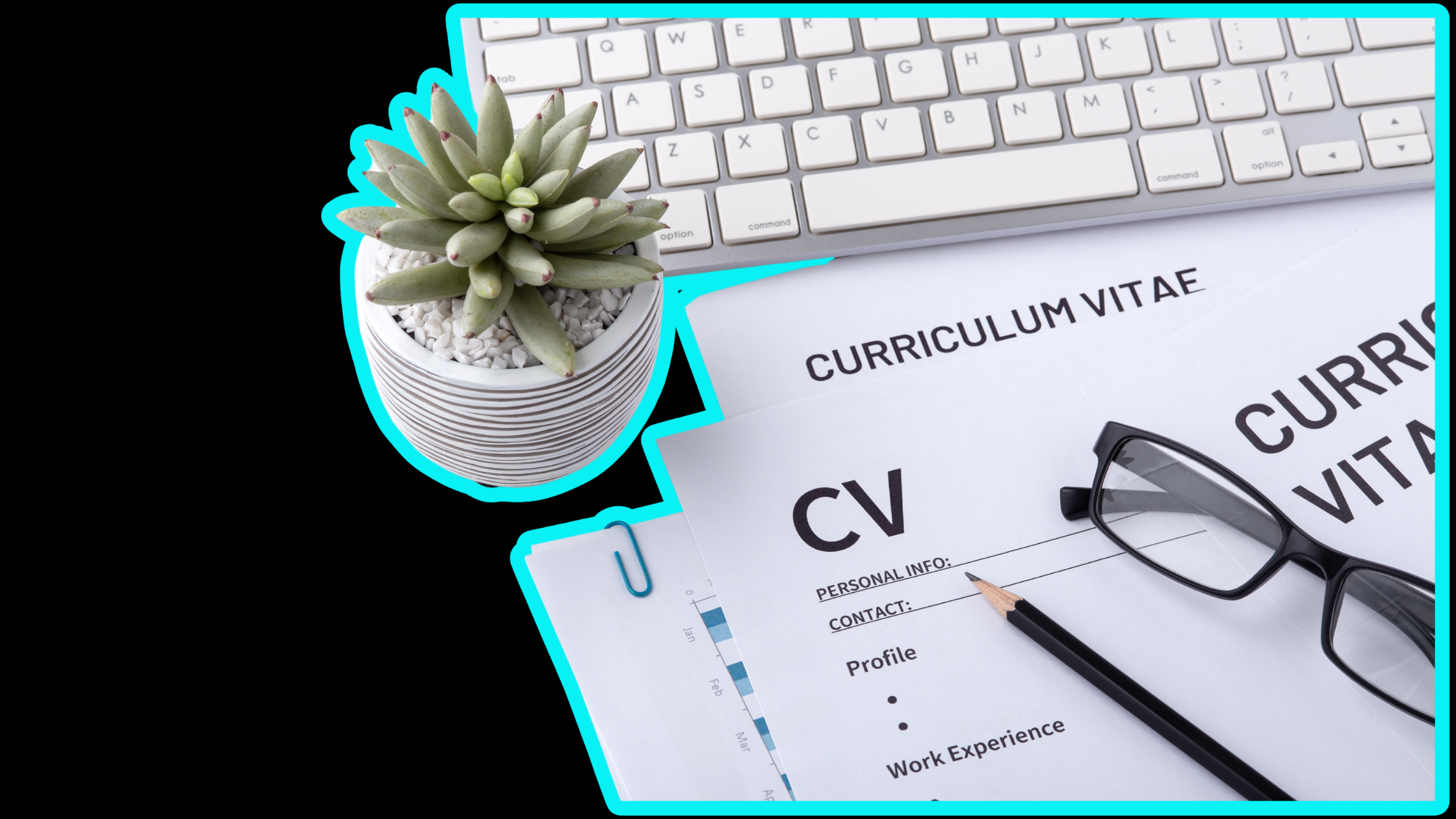 CV Skill MUST-HAVES For a Successful Application